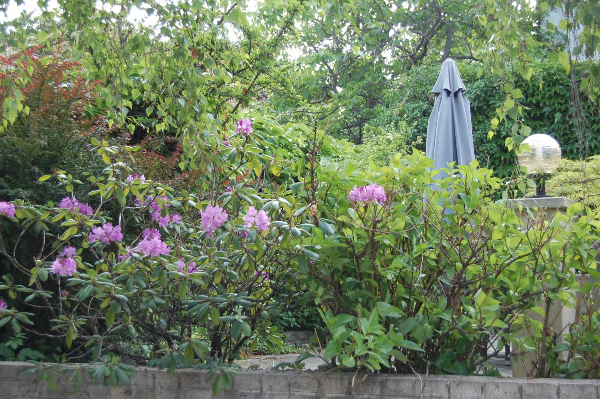Hofgassl Zentgraf Bed & Breakfast Moerbisch Am See Exterior photo