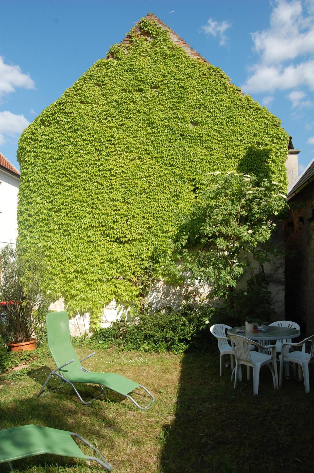 Hofgassl Zentgraf Bed & Breakfast Moerbisch Am See Exterior photo